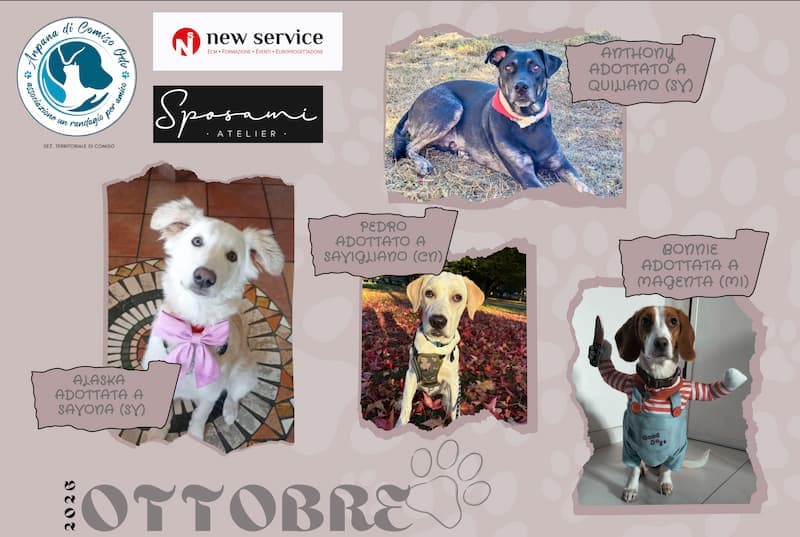 Copertina ottobre